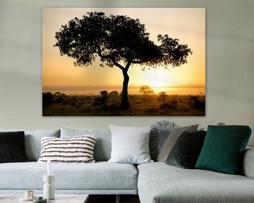 Silhouet van acacia-boom bij zonsondergang op Afrikaanse savanne, Kruger NP, Zuid-Afrika van The Book of Wandering