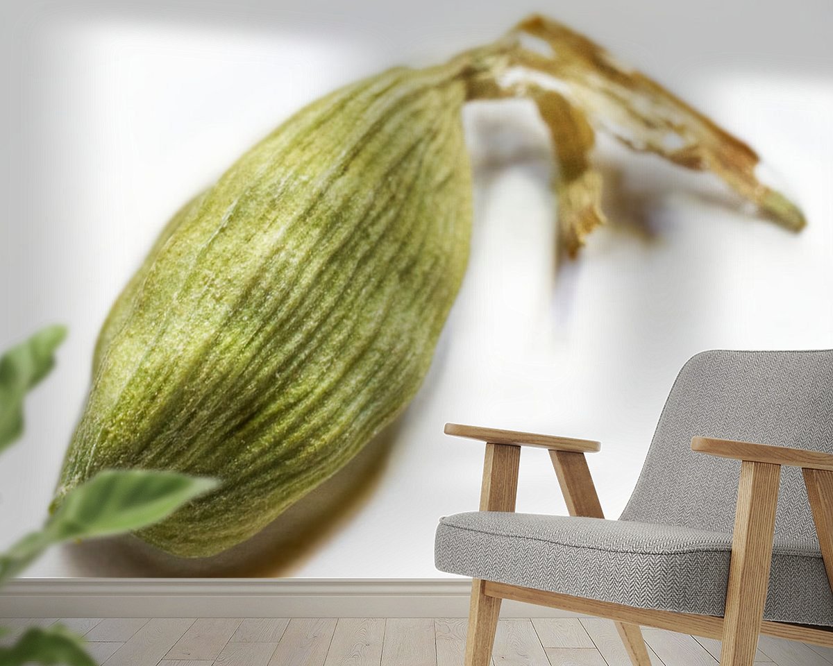 Raumvorschau