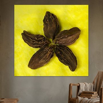 Whale zwarte kardemombloem op geel