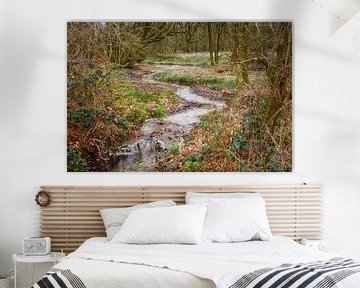 Springendal stream by Ron Poot