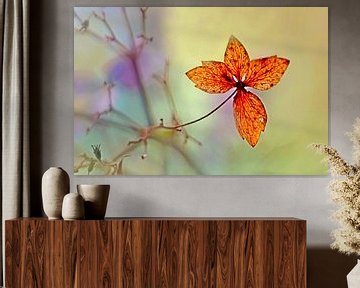 On fire by Marlies Prieckaerts