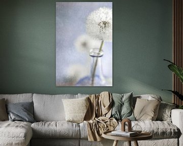 Blooming dandelion by Saskia Schepers