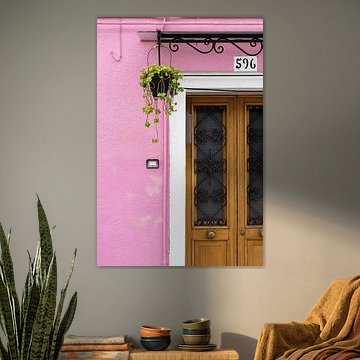 Rosa Haus mit Pflanze auf Burano