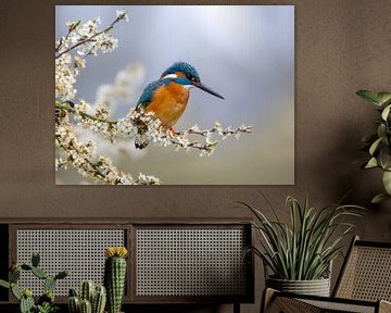 Eisvogel sitzt auf einem Zweig mit Blumen von OCEANVOLTA