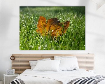 Herfstblad in gras von Michel van Kooten