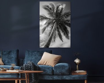 Palmboom op zandstrand V1 van drdigitaldesign