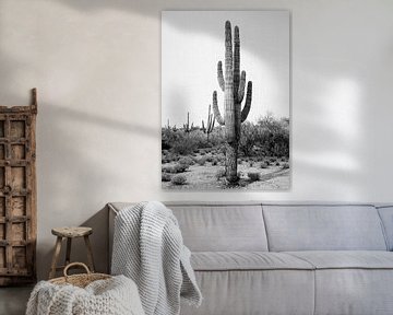 Arizona Cactus - Zwart & Wit van Gal Design
