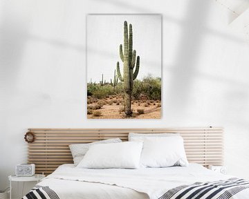Arizona Cactus by Gal Design