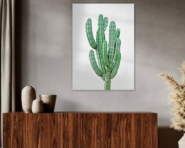 Cactus 3 van Gal Design