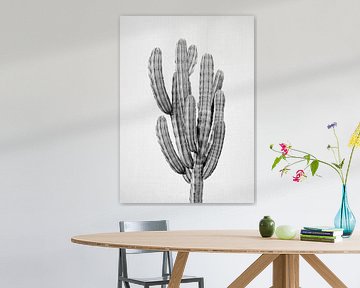 Cactus 3 - zwart-wit van Gal Design