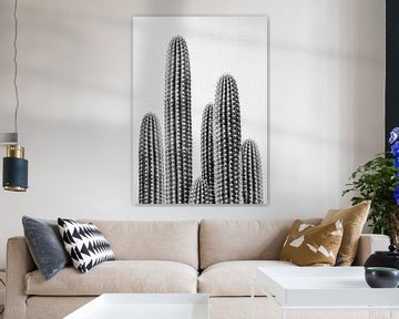 Kaktus 2 - Schwarz & Weiß von Gal Design