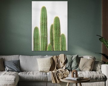 Cactus 2 van Gal Design