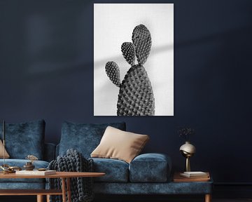 Cactus - Noir et blanc sur Gal Design