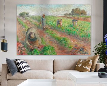 The Beet Harvest (1881) painting by Camille Pissarro. van Studio POPPY
