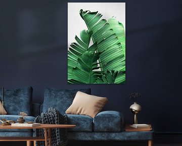 Banana Leaves by Gal Design