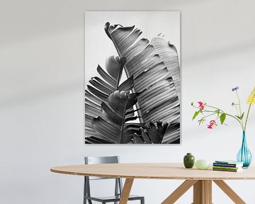 Feuilles de bananier - Noir et blanc sur Gal Design