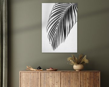 Palmblad - Zwart & Wit van Gal Design