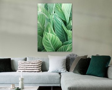 Feuilles tropicales sur Gal Design