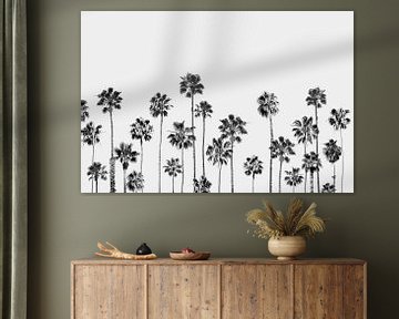 Black & White Palms 2 by Gal Design