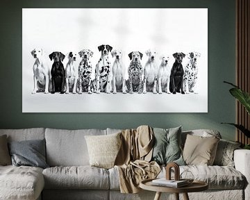 Group portrait of eleven dogs by Vlindertuin Art