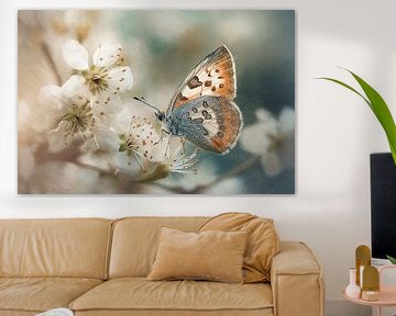 Butterfly on Blossom - Dreamy Wall Art by Joriali photography and paintings