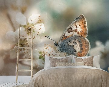 Butterfly on Blossom - Dreamy Wall Art by Joriali photography and paintings