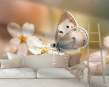 Dromerig vlinderportret in zachte pastelkleuren – schilderachtig en poëtisch van Joriali fotografie en schilderijen
