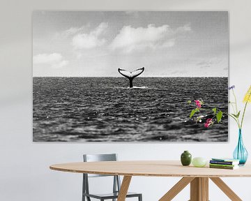 Whale Tail by Gal Design