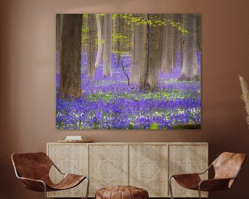 woodland hyacinths with wild garlic by Rudi Everaert