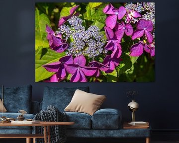 flowering umbellifer by Jan Fritz