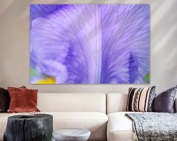 Zachte paarse iris bloemblad abstract van Iris Holzer Richardson