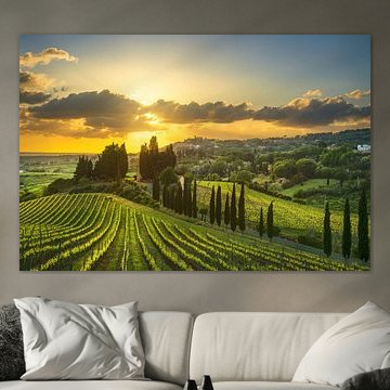 Vineyards at sunset in Alta Maremma. Tuscany