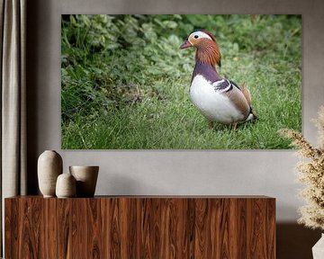 Fertig für den Ausflug