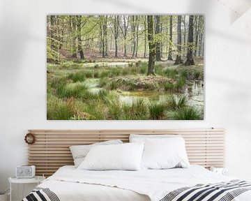 Fresh spring green at the fen in the forest by Cor de Hamer