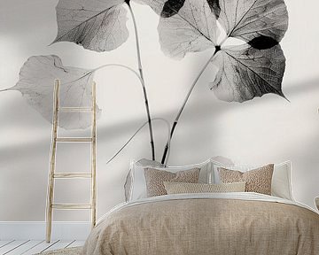 Transparante Botanische nr. 2