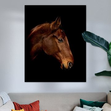 Portrait of a horse