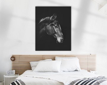 Portrait d'un cheval en noir et blanc sur Bild.Konserve