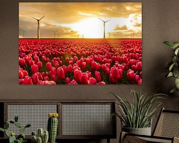 Rote Tulpen auf einem Feld mit Windrädern im Hintergrund von Sjoerd van der Wal Fotografie