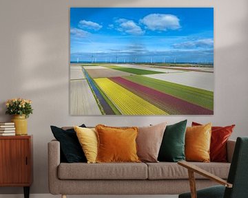Tulips growing in agricultural fields during springtime by Sjoerd van der Wal Photography