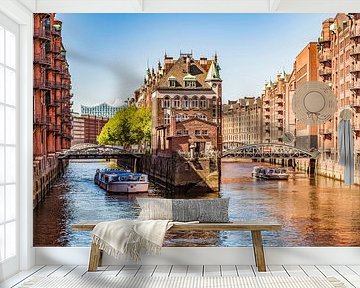 Excursieboten in de Speicherstadt in Hamburg van Werner Dieterich