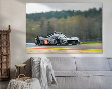 Peugeot TotalEnergies Peugeot 9X8 hypercar van Sjoerd van der Wal