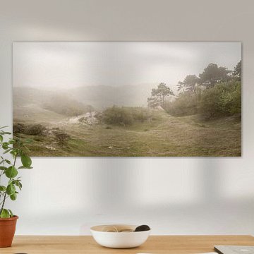 Matinée brumeuse dans les dunes. Noordwijk.