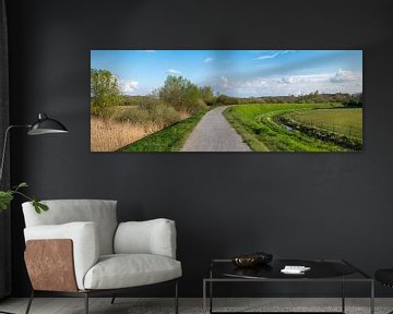 Cycling road through the countryside by Werner Lerooy