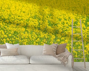 Rapeseed yellow and green by Werner Lerooy