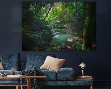 Stream waterfall inside a forest. Chianni, Tuscany by Stefano Orazzini