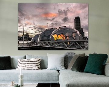 Beautiful Rotterdam - Floating pavilion by Prachtig Rotterdam