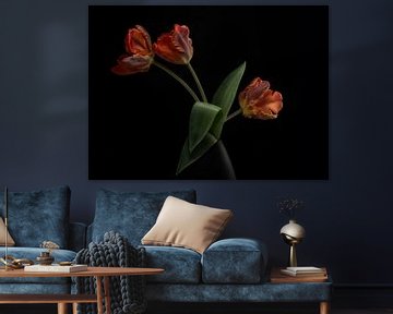 Tulips in vase, Lotte Gronkjar by 1x