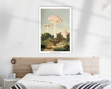 The Finest Giant Mushroom, Florent Bodart by 1x