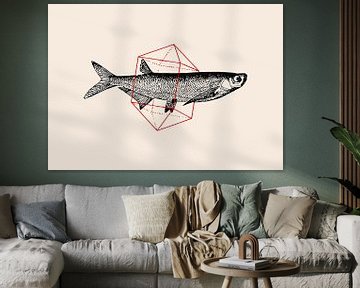 Fish In Geometrics NAo2, Florent Bodart by 1x