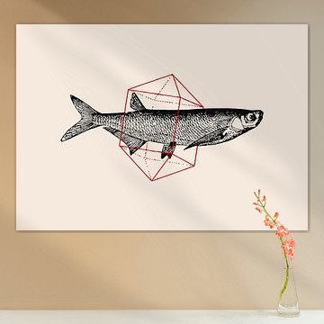 Fisch in Geometrien Nº2 von Florent Bodart